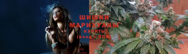 СК Белокуриха