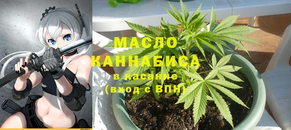 дмт Богданович