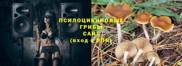 дмт Богданович