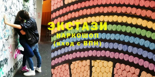 дмт Богданович