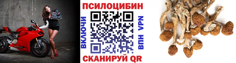 Галлюциногенные грибы мицелий  Олёкминск 